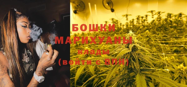 PSILOCYBIN Алзамай