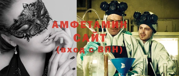 PSILOCYBIN Алзамай