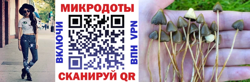 Галлюциногенные грибы Magic Shrooms  что такое наркотик  Тобольск 